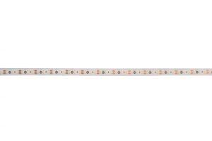 IMPR 840172 AKCE Flexibilní LED pásek 3528 120 12V 2700K 5m silikon - LIGHT IMPRESSIONS